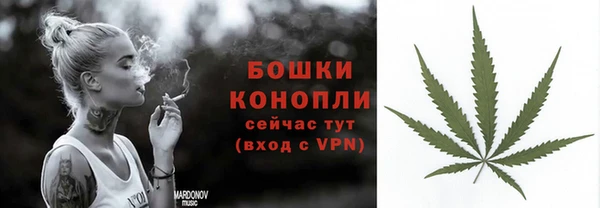 СК Гусев