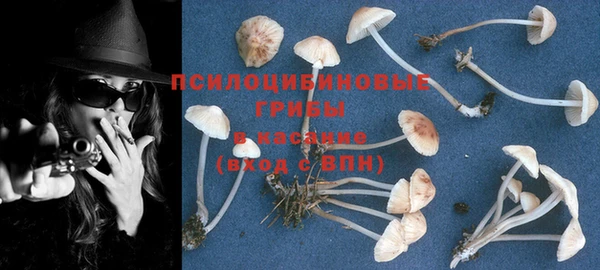 ECSTASY Гусиноозёрск