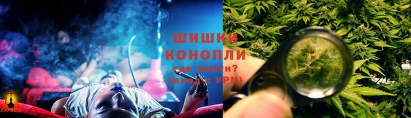 СК Гусев