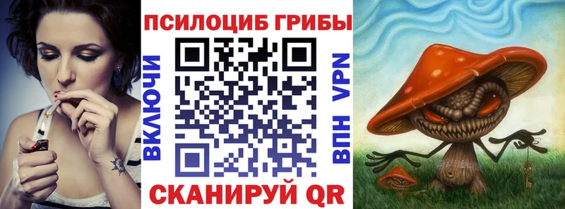 Галлюциногенные грибы Cubensis  Купить где  Рудня 
